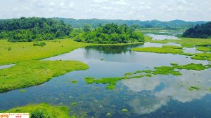 Vườn quốc gia Cát Tiên một trong các vườn quốc gia ở Việt Nam